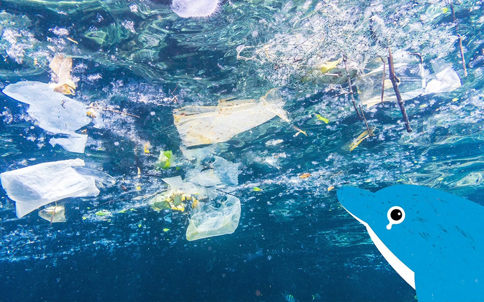 問題 海洋 プラスチック